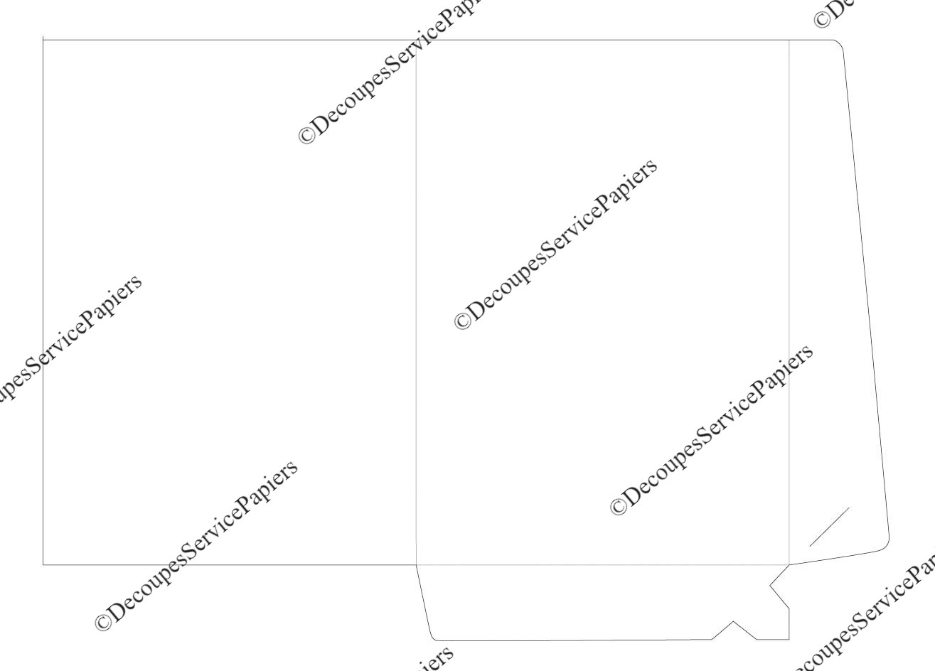 CHEMISE F 220 X 310 O 500 X 350.jpeg